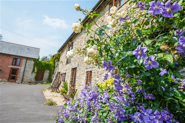 flowers out side the wagon house